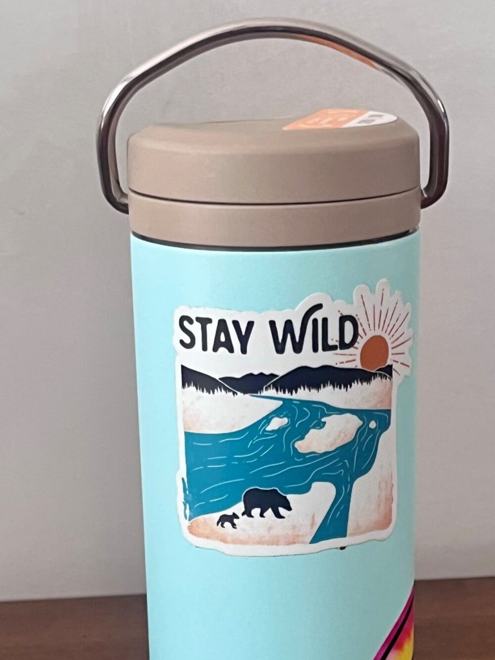 Klean Kanteen 20oz TKWide with Twist Cap